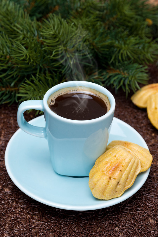   ,   ,  , ,  , cup of coffee and cookies madeleines on the background of fir branches, vertical