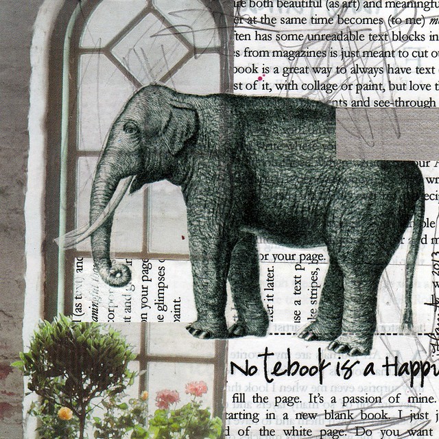 Collage: An Elephant in the Window