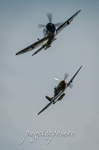 HFC's P-47 Thunderbolt "Tallahassee Lassie" & HFC's P-51D Mustang "Upupa Epops"