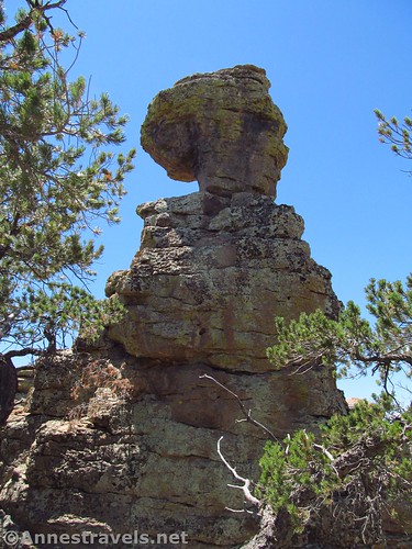 The Old Maid, Heart of Rocks Loop Trail, Chiricahua National Monument, Arizona