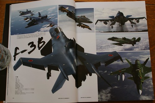 Ace Combat Master File - ASF-X SHINDEN II - 6