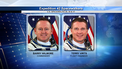 Expedition 42 U.S. Spacewalk Briefing Graphics
