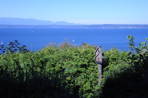2 story Birdhouse, sailboats, sunny day, bushes, Pacific Ocean, Olympic Mountains, Seattle, Washington, USA by Wonderlane