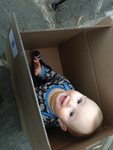 Boy in the box by carolinearmijo