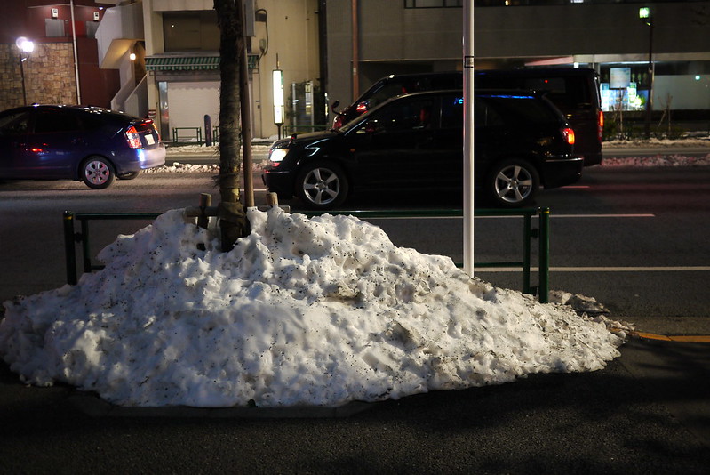 恰好避開了風雪的東京