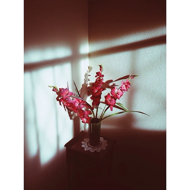 This corner at my inlaw's house is a favorite of mine in the morning. #moveitmoveit #morninglight #mortalmuses #mobilemonday #shuttersisters #ourcollective