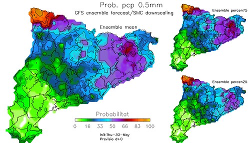 Mapa amb la probabilitat de superar el llindar de precipitació de 0.5 litres per metre quadrat en un dia; concretament el 30 de maig de 2013.