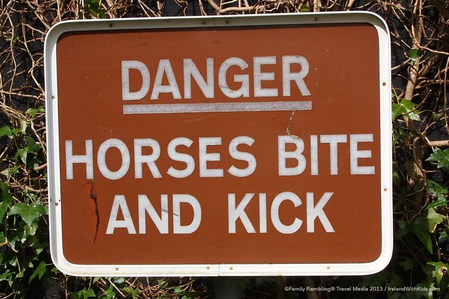 Warning at Irish National Stud, Kildare