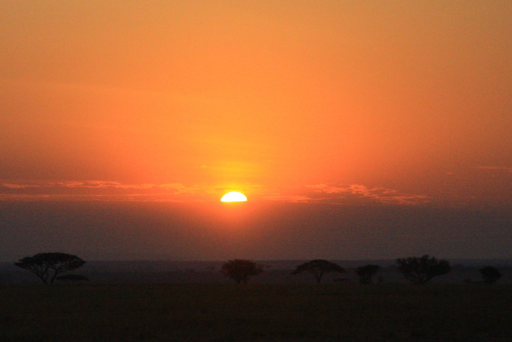 Sunrising in Serengeti