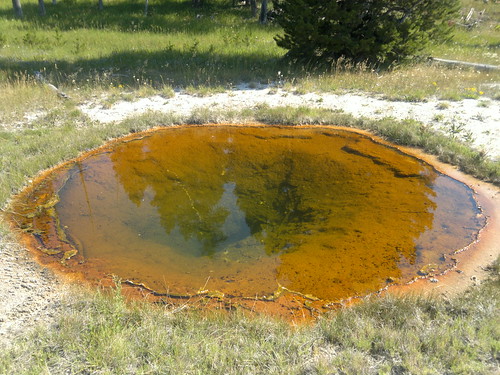 Martes Día 23 de Julio: Yellowstone (II) - 25 días por los parques nacionales del Oeste de USA: un Road Trip de 10500 kms (11)