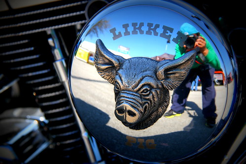 LIKKER PIG !! YEAH!! DAYTONA BIKE WEEK 2013 By @tukutafotos by tukuta