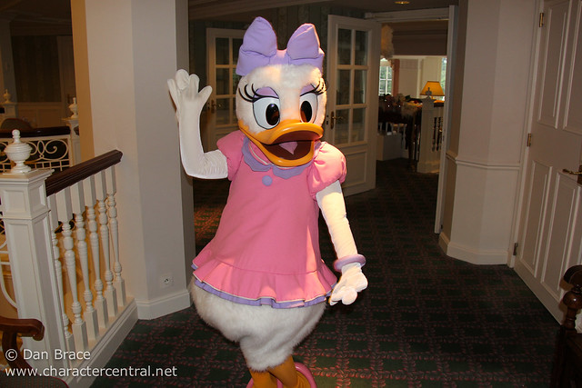 Daisy Duck visits the Castle Lounge