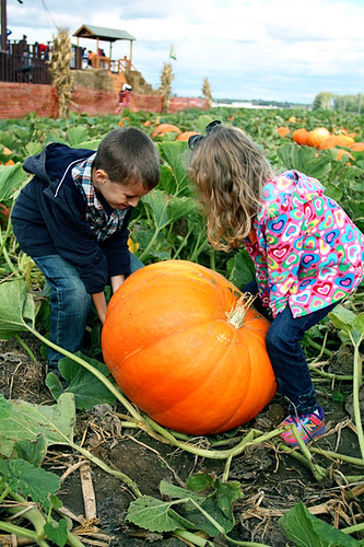 Kids-lifting-pumpkin
