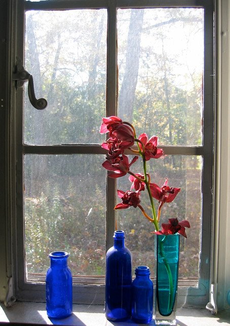 Window with orchids