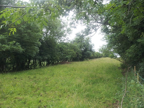 New photos added to Flickr July 2013, trackbed south of Comber