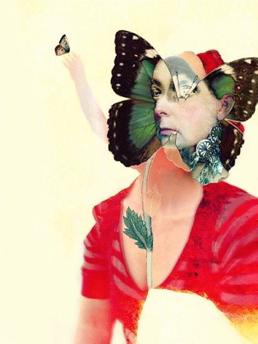 Butterfly by Sarah Jarrett