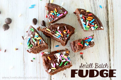 Small Batch Fudge pieces with rainbow sprinkles, chocolate chips.