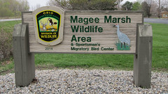 Magee Marsh 2014