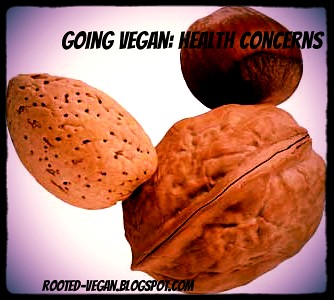 going vegan: health concerns