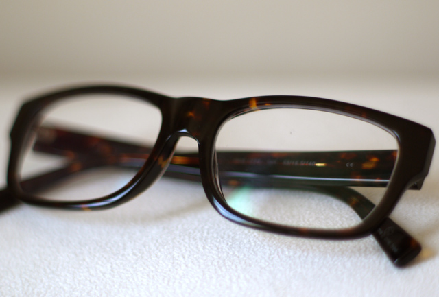 eco-optic glasses, recycled, rachel mlinarchik, eco-fashion