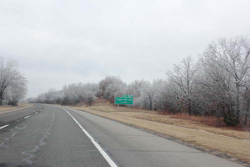 Oklahoma Winter Forest on I-40