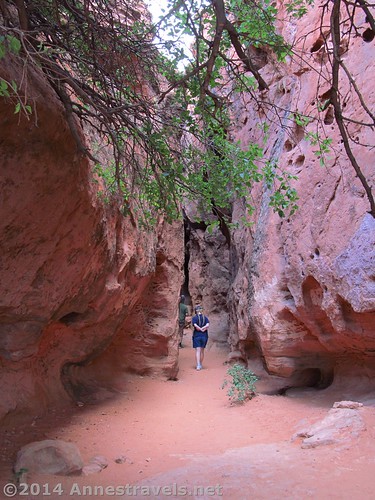 Entering the wide end of the slot canyon - it gets much, much narrower than this! Pioneer Park, St. George, Utah