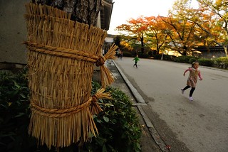 A scene in Osaka Castle.
