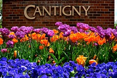 Cantigny - McCormick Mansion - Wheaton IL