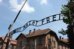 Poland - Auschwitz, Birkenau & Gestapo cells