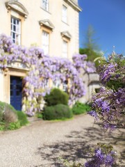 Springtime at the Peto Garden, Iford Manor