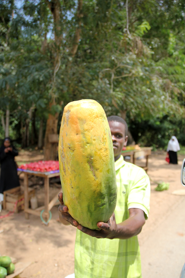 A kid-sized papaya