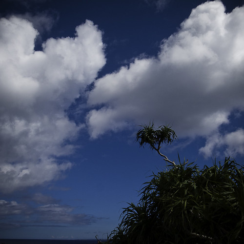 Reaching the Clouds, Okinawa