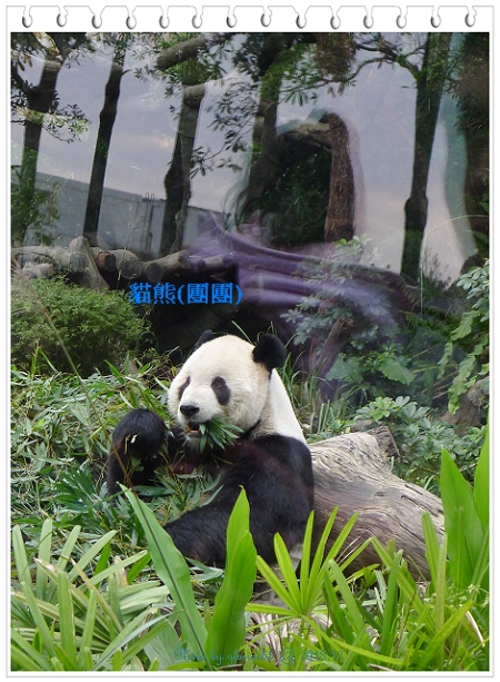 201312動物園-k