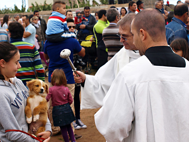 Priest blesses puppy at San Abad, Buenavista del Norte, Tenerife