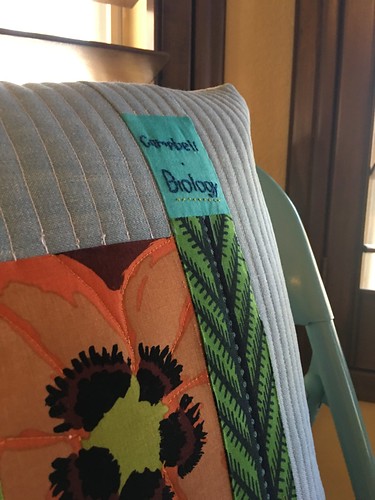 Finny's book pillow May 2016 www.africankelli.com