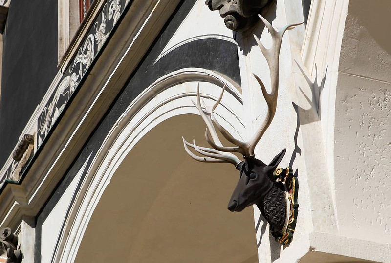 德勒斯登宮廷馬廏場廊柱上的鹿頭裝飾