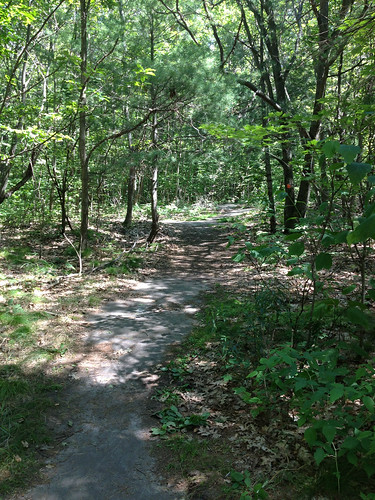 Trail At Killbear Park