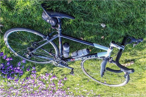 _green_cycling by l--o-o--kin thru