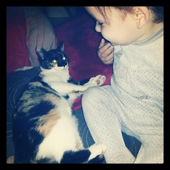 ♥ Bonjour instagram ♥ #ikea #baby #cat #chat #ourlittlefamily #france #blog #blogueuse