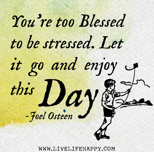 You're too blessed to be stressed. Let it go and enjoy this day! - Joel Osteen