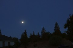 			Klaus Naujok posted a photo:	Today we had a "Blue Moon". Looks rather small using the 50mm Prime.