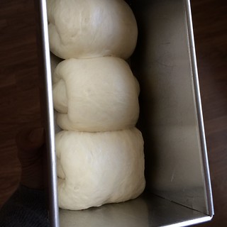 山型食パン2　二次発酵前