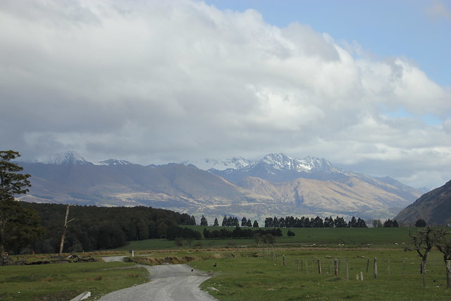 Nueva Zelanda, Aotearoa: El viaje de mi vida por la Tierra Media - Blogs de Nueva Zelanda - Día 19 - 18/10/15: Queenstown, Kawarau River, Glenorchy, Paradise y cumpleaños (131)