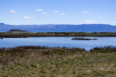 Argentina - Reserva Laguna Nimez