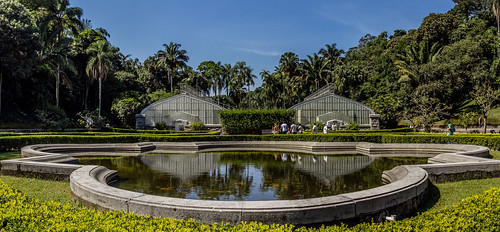 Jardim Botânico de São Paulo by kassá
