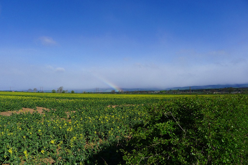 Rainbow over the fields
