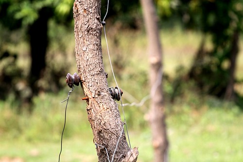 A close-up of the 12 km long electric fence installed at Bhimapur, Bardia. © WWF Nepal/ Pallavi Dhakal