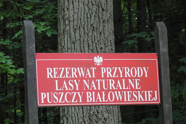 Bialowieskie Nationalpark Polen