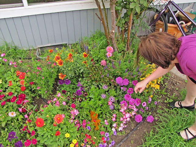 Corinne's first garden