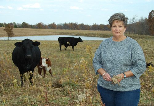 Beginning farmer Ann Whitehead on her 100 acres of agricultural land near Wellsville, Mo. NRCS photo.